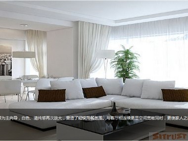 白色，清新为基调空间颜色，更纯洁，轻盈。电视背景墙
